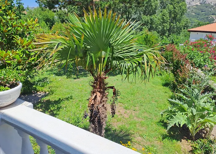 Apartman Put 2
